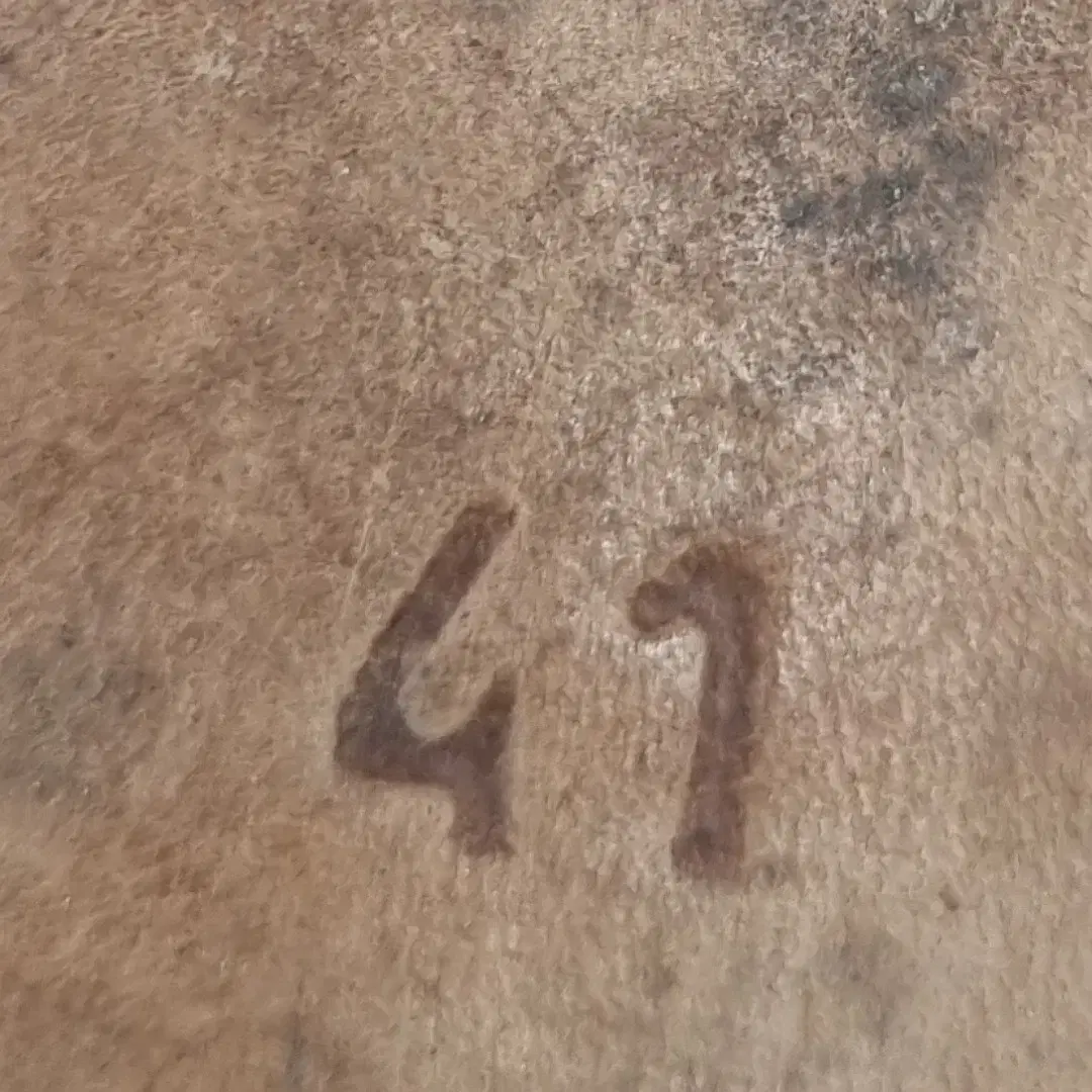 thumbnail-5